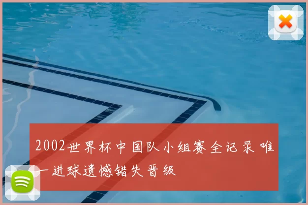 2002世界杯中国队小组赛全记录 唯一进球遗憾错失晋级