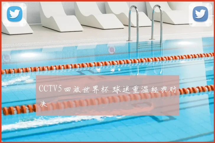 CCTV5回放世界杯 球迷重温经典对决