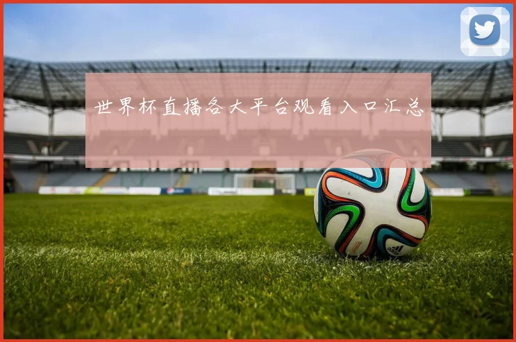 世界杯直播各大平台观看入口汇总